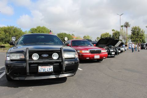 2003 Ford Crown Victoria - black Ford sedan with a brush guard sits at the head of a line of sedans, a red car and raised hoods behind it.