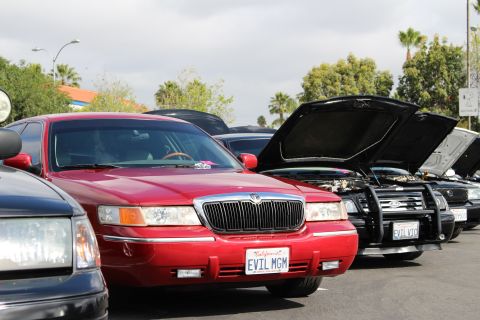 2003 Ford Crown Victoria - red full-size sedan reading EVIL MGM lines up with black sedans whose hoods are propped open under palms.