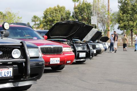 2003 Ford Crown Victoria - angled row of full-size sedans with hoods raised stretches into the distance, the red EVIL MGM car standing out.