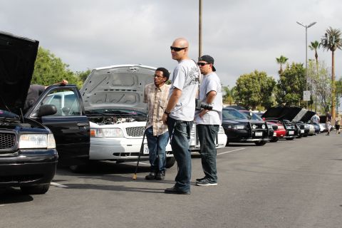 2003 Ford Crown Victoria - Three men stand among full-size sedans with raised hoods, a long row of cars receding under palm trees.