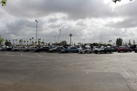 2003 Ford Crown Victoria - long row of parked sedans stretches across a wide lot with palm trees on the horizon under a heavily clouded sky.