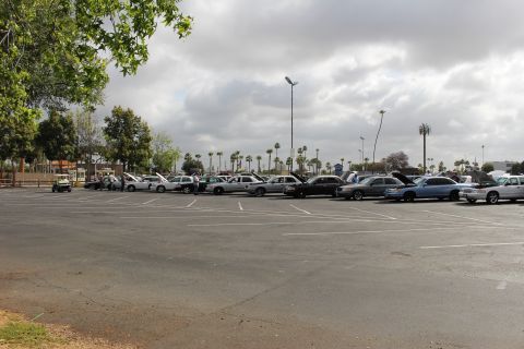 2003 Ford Crown Victoria - row of cars with hoods raised lines a wide parking lot, framed by tree branches at left under an overcast sky.