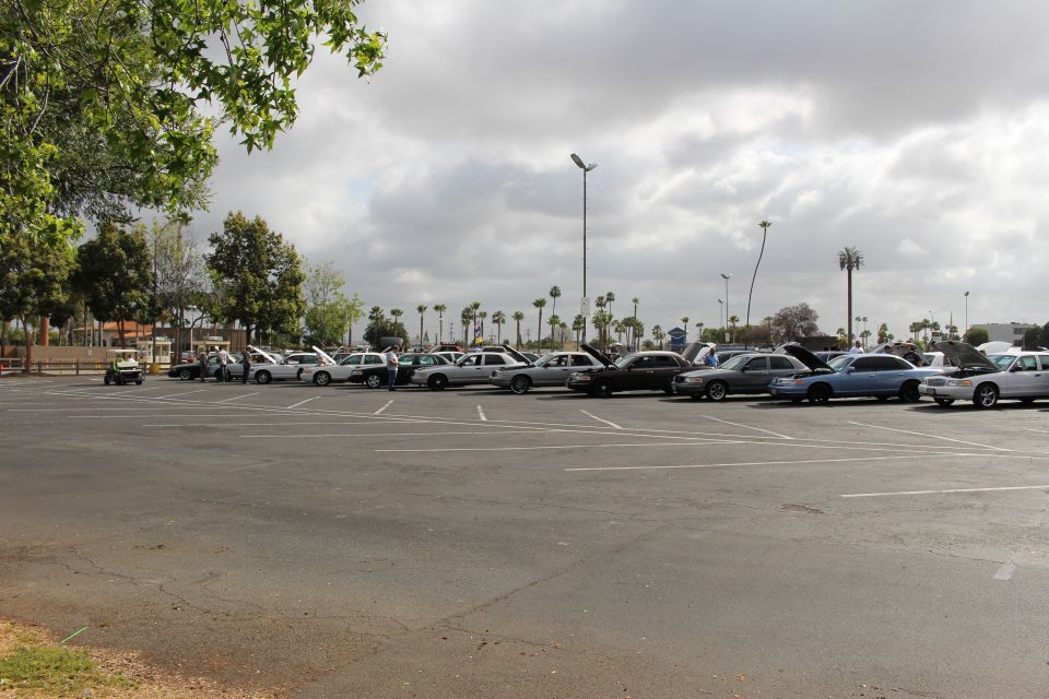 Row of cars with open hoods in a wide parking lot framed by trees