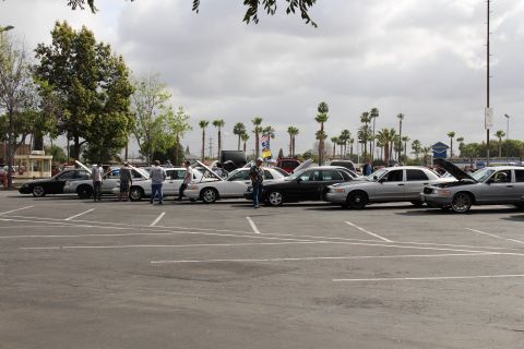 2003 Ford Crown Victoria - Several sedans with open hoods are displayed in a row as people walk among them at an outdoor car show.