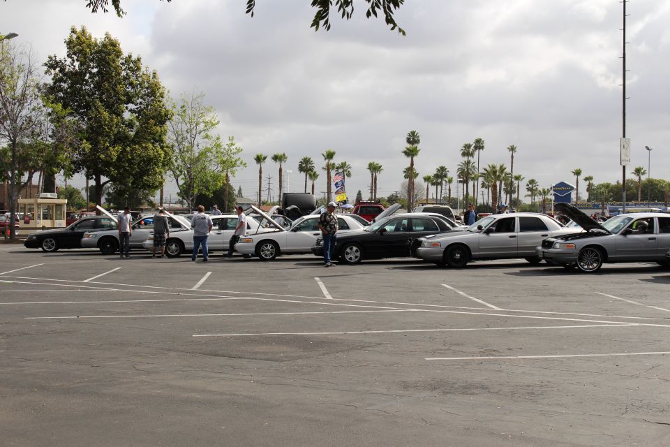 Row of sedans with open hoods and people at an outdoor car show