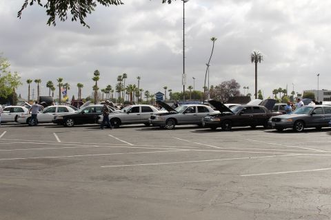 2003 Ford Crown Victoria - lineup of silver and dark sedans with raised hoods sits in a parking lot with palm trees in the background.