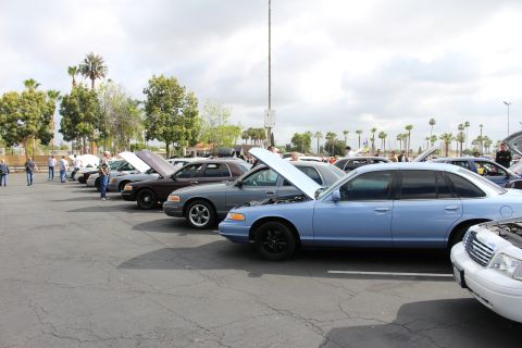 2003 Ford Crown Victoria - row of sedans with open hoods, led in the foreground by a light blue Ford sedan with black wheels, at a car show.