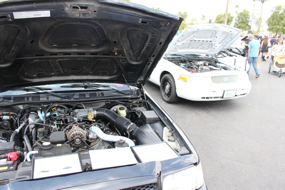 Open engine bay of dark sedan with white sedan behind, hoods raised