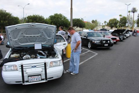 2003 Ford Crown Victoria - man examines a display sheet on a white Ford Crown Victoria with its hood open at a car show.