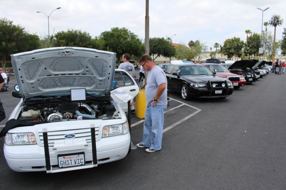 Man reads display sheet on white Ford Crown Victoria with hood open