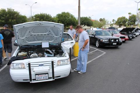 2003 Ford Crown Victoria - white Ford Crown Victoria with raised hood is parked beside black sedans at an outdoor car meet.