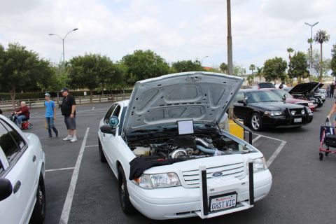 2003 Ford Crown Victoria - white Ford sedan stands with its hood up beside black sedans at a daytime parking-lot car meet.