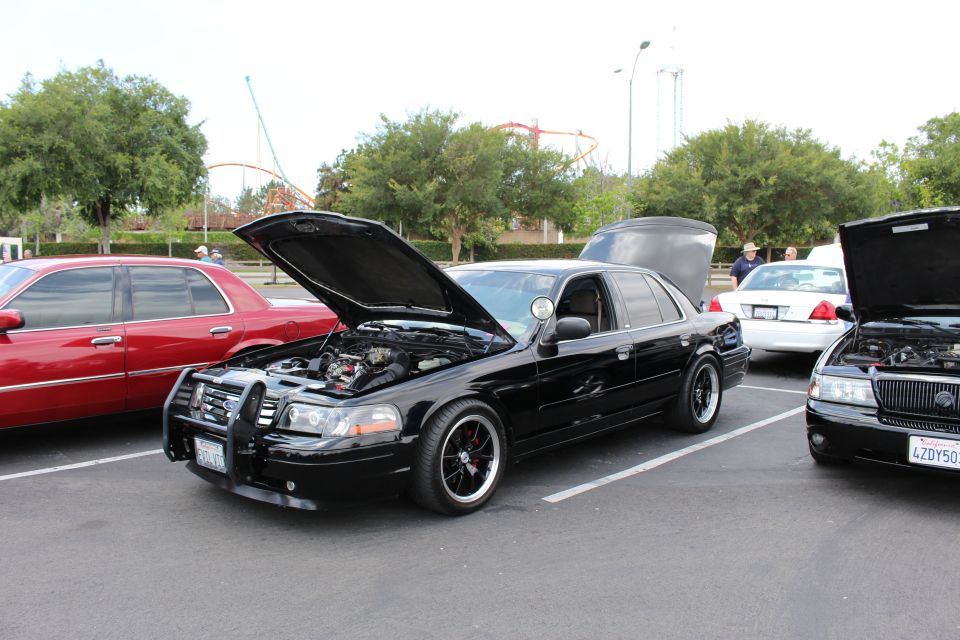 Black sedans with hoods up and brush guard at outdoor car meet