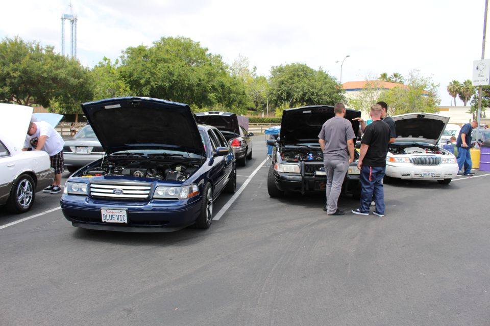 Row of Ford and Lincoln sedans with hoods up, men inspecting engines