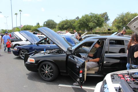 Black Crown Victoria with door open, packed row of sedans at a car show