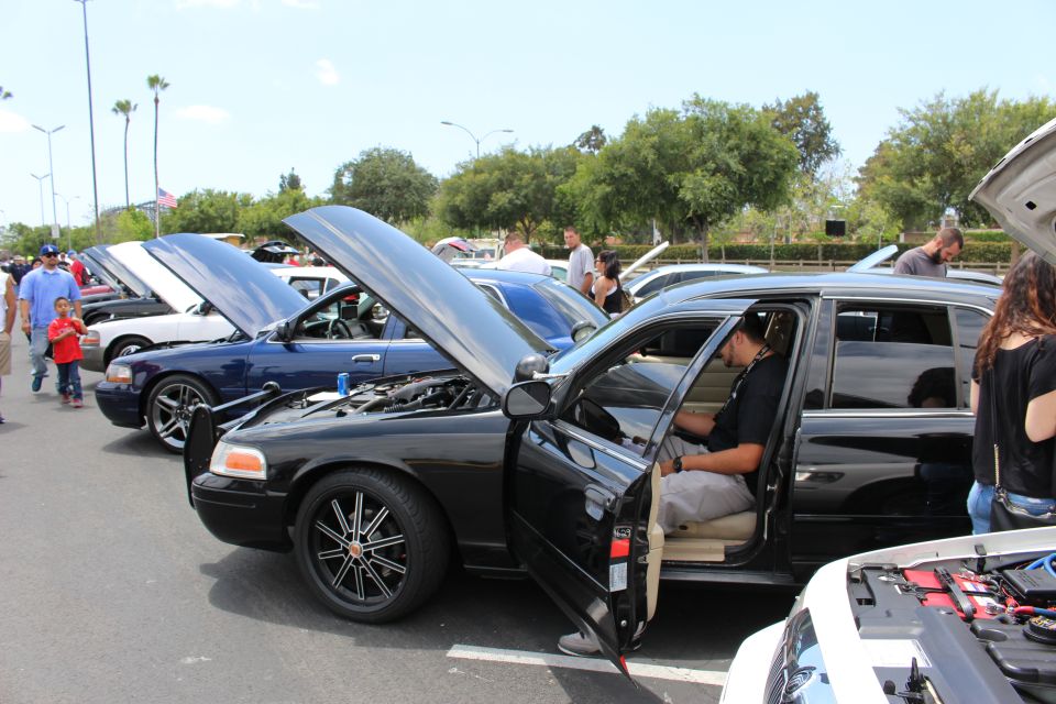 Black Crown Victoria with door open, packed row of sedans at a car show