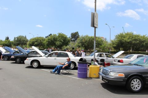 White Mercury Grand Marquis and a gray Crown Victoria in a row of open-hood cars at a show