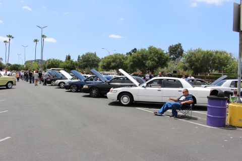 Long row of full-size sedans with raised hoods at a car show, man seated in a chair