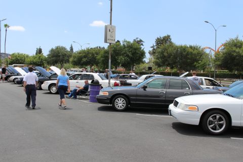 Gray Ford Crown Victoria and a white sedan in a row of open-hood cars with people walking