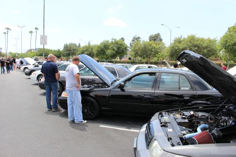 People inspecting black sedans with open hoods at an outdoor car meet
