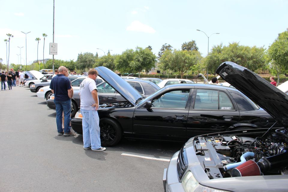 People inspecting black sedans with open hoods at an outdoor car meet