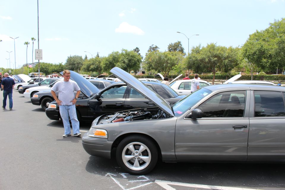 Man stands beside row of Ford sedans with hoods up at a car show