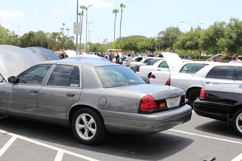 Rear view of gray Ford sedan beside black sedan at car meet