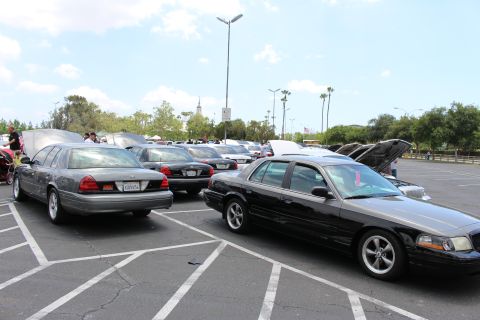 Rows of black and gray full-size sedans parked at a car show