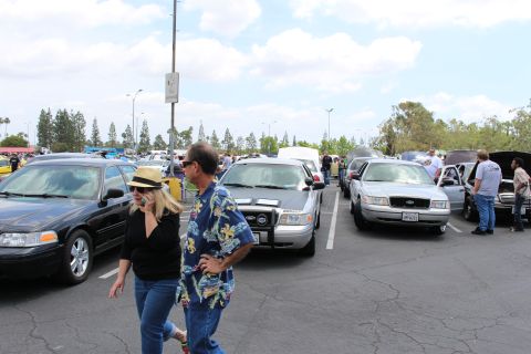 Couple walking through a parking lot lined with black and silver full-size sedans