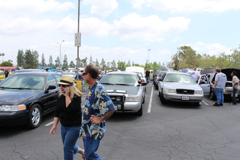 Couple walking through a parking lot lined with black and silver full-size sedans