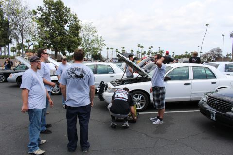 People in gray T-shirts gathered around white sedans with raised hoods at a car meet