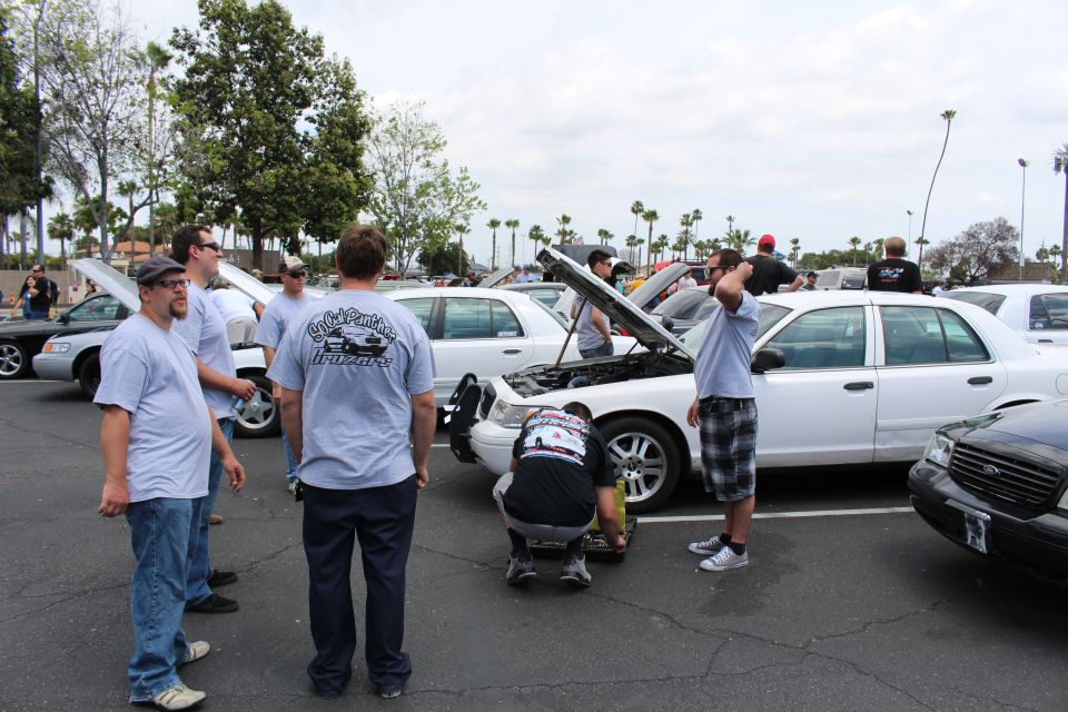 People in gray T-shirts gathered around white sedans with raised hoods at a car meet