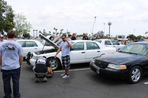 Man on a phone beside white sedans with open hoods and a black Ford sedan at a car meet