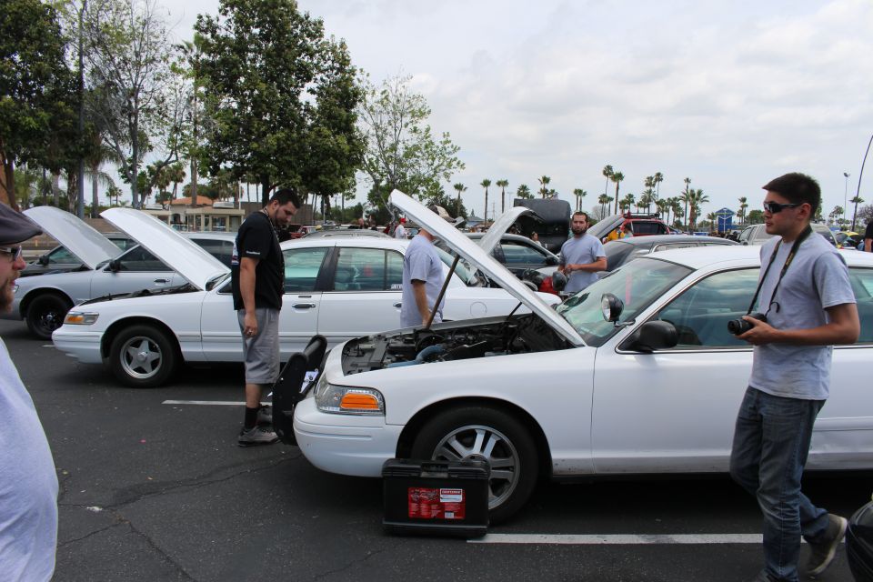 Row of white full-size sedans with open hoods at an outdoor parking-lot car meet