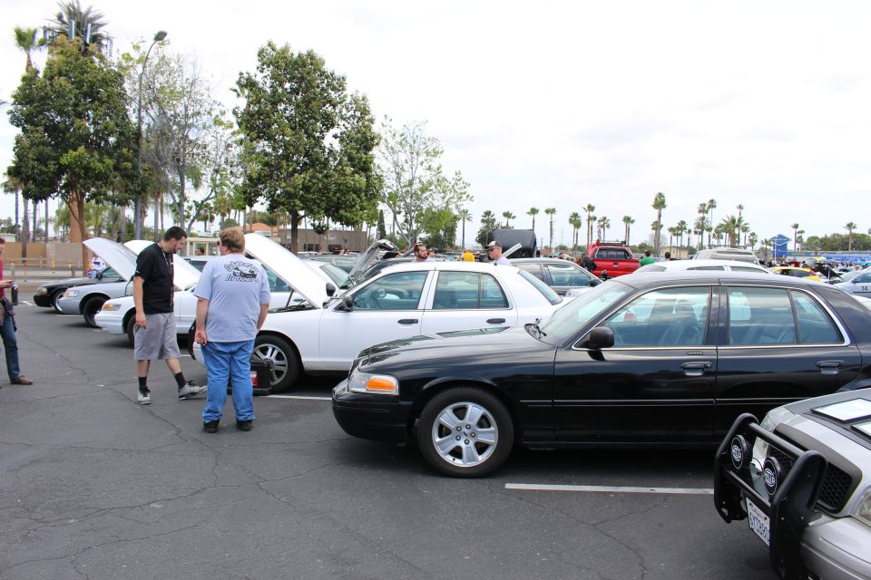Black Ford sedan in the foreground of a parking lot full of full-size sedans at a meet