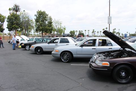 Row of silver and dark full-size sedans parked nose-out at an outdoor car meet