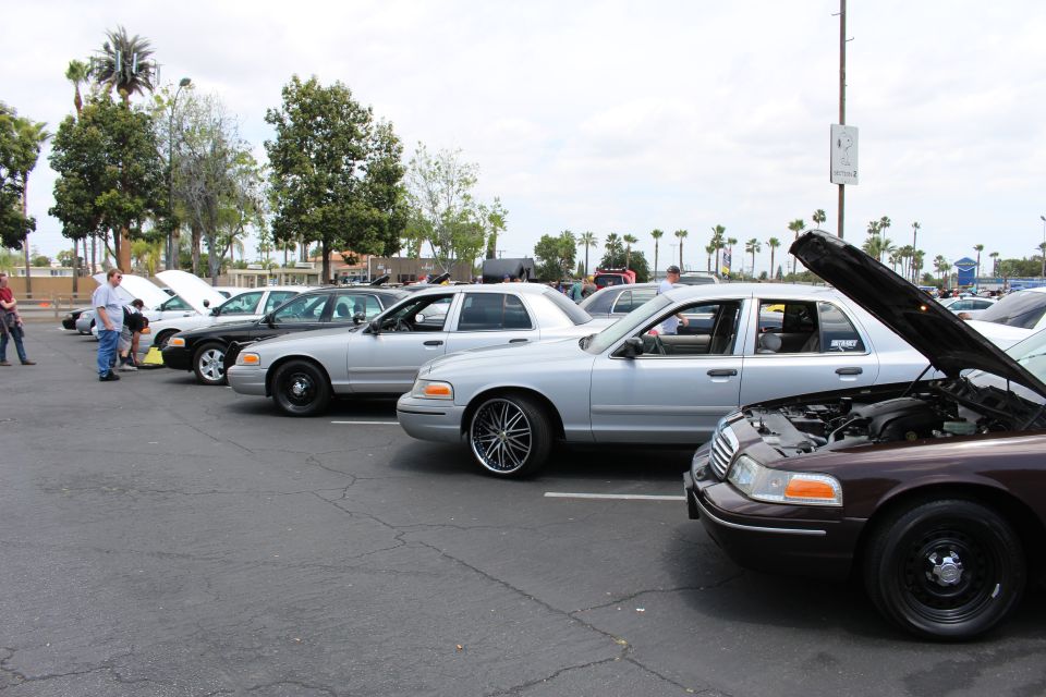 Row of silver and dark full-size sedans parked nose-out at an outdoor car meet