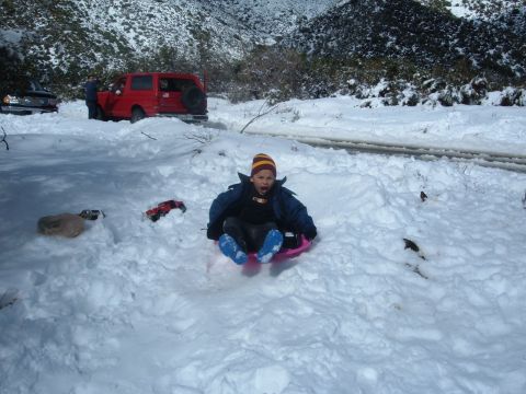 1988 Ford Bronco - Child enjoys sledding down a snow-covered hill with vehicles parked nearby.