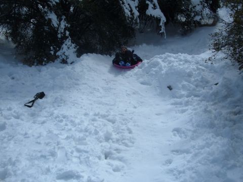 1988 Ford Bronco - A person rides a pink sled down a snow-covered slope surrounded by trees.