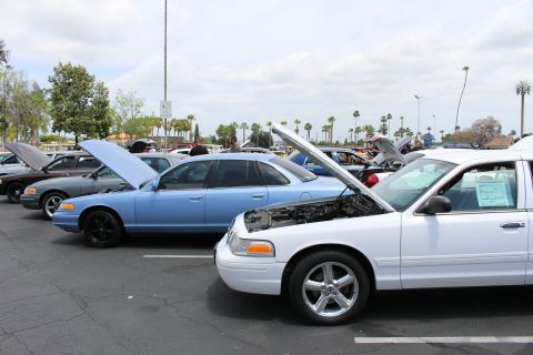 Light blue and white Crown Victorias with hoods up at an outdoor car meet