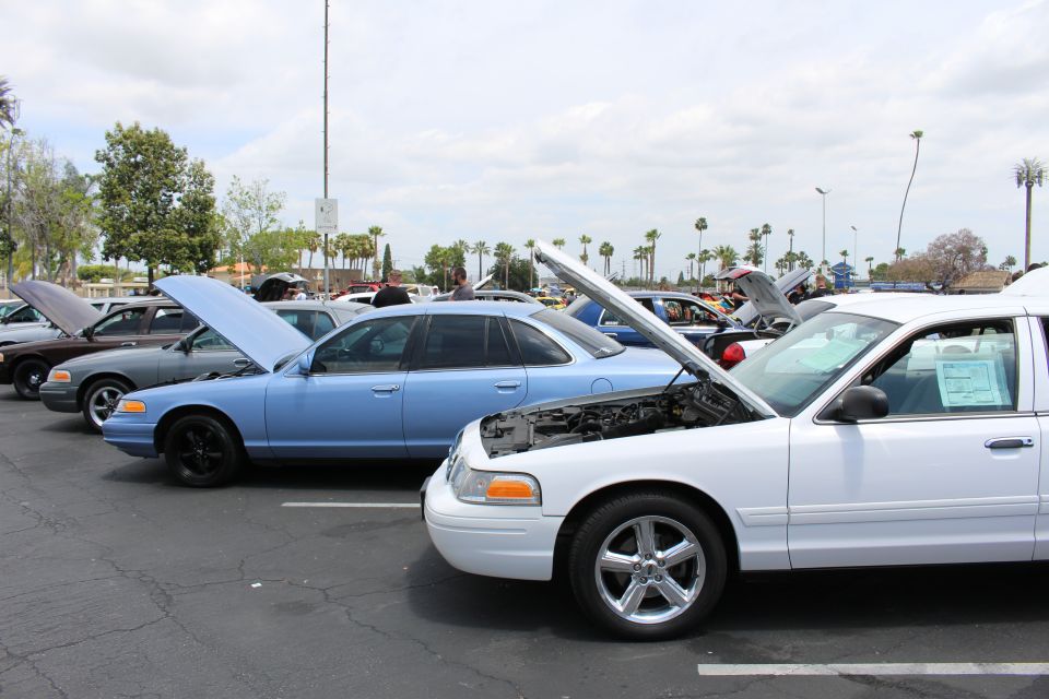 Light blue and white Crown Victorias with hoods up at an outdoor car meet