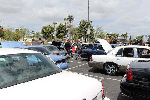 Crowded outdoor parking lot full of sedans with hoods up at a car show