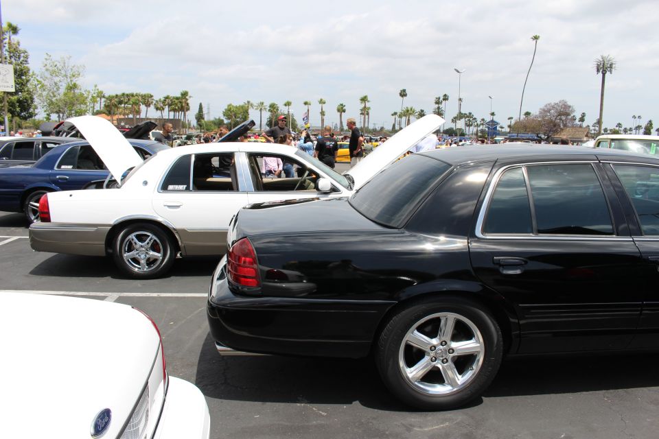 Black sedan rear three-quarter view among Crown Victorias at a car meet