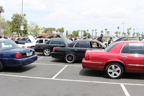 Row of full-size sedans parked with hoods up at a sunny car show