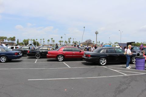 Row of dark and red full-size sedans parked at a car show