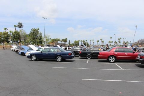 Long row of full-size sedans with open hoods at a sunny car show