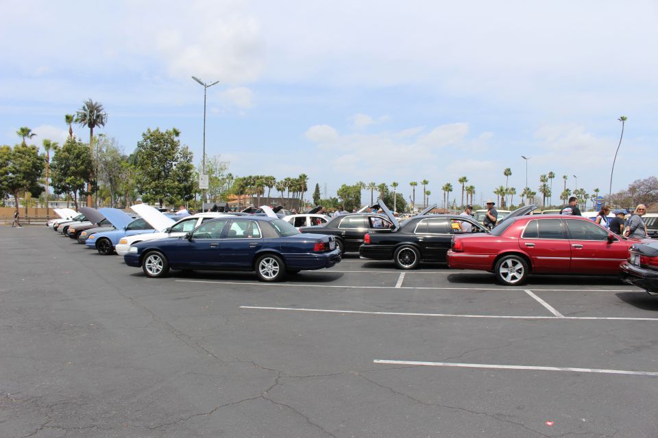 Long row of full-size sedans with open hoods at a sunny car show