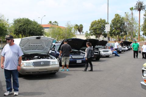 Row of Mercury and Ford sedans with open hoods at a car show