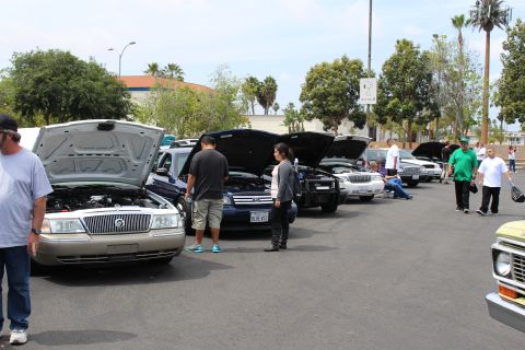 People inspecting a row of sedans with raised hoods at a car show
