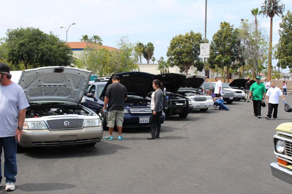 People inspecting a row of sedans with raised hoods at a car show
